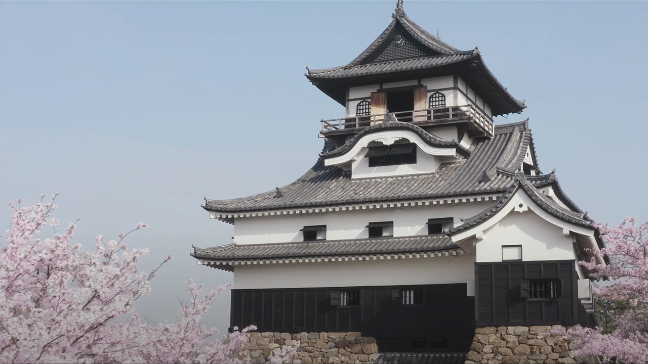 木曽川 遊覧 木曽川鵜飼 遊覧